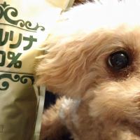 60位のイメージ