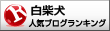 白柴犬ランキング