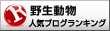 野生動物ランキング