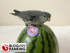 人気ブログランキング