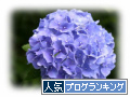 人気ブログランキング