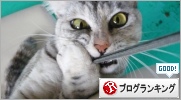 人気ブログランキング