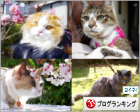 人気ブログランキング