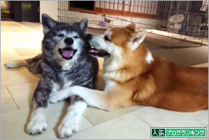 人気ブログランキング