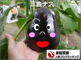 家庭菜園ランキング