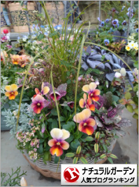 ナチュラルガーデンランキング