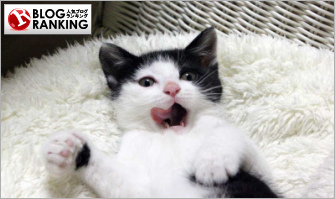 人気ブログランキング