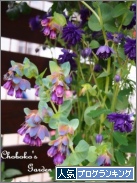 人気ブログランキング