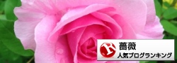 薔薇(バラ)ランキング
