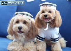 人気ブログランキング