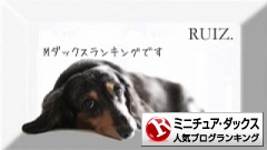 ミニチュア・ダックスフンドランキング