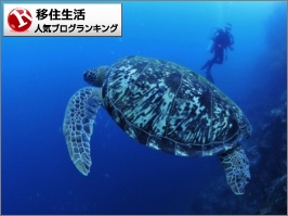 移住生活ランキング