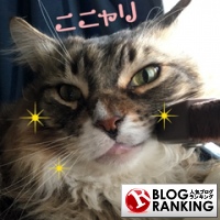 人気ブログランキング