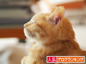 人気ブログランキング