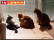 人気ブログランキング