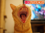 人気ブログランキング