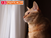 人気ブログランキング