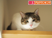 人気ブログランキング