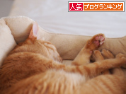 人気ブログランキング