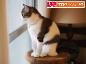 人気ブログランキング
