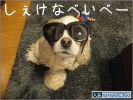 人気ブログランキング