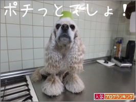 人気ブログランキング