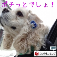 人気ブログランキング