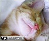 人気ブログランキング