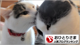 おひとりさまランキング