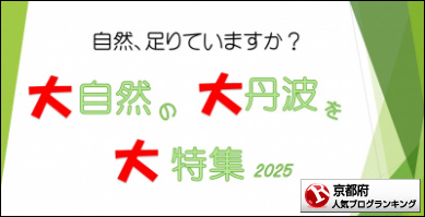京都府ランキング