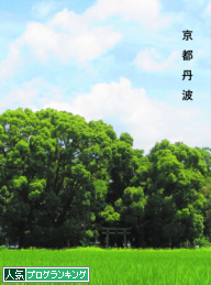 人気ブログランキング