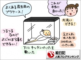 絵日記ランキング