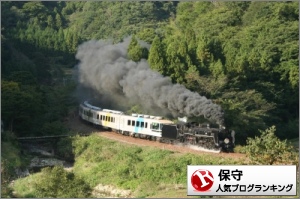 保守ランキング