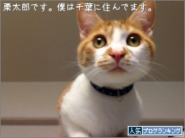 人気ブログランキング