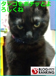 人気ブログランキング