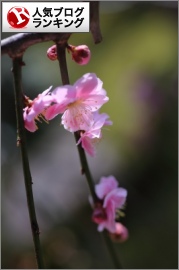 人気ブログランキング
