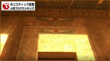 ホリスティック医療ランキング