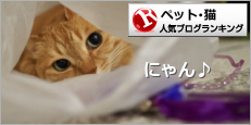 猫ランキング