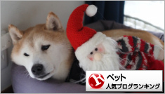 ペットランキング