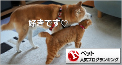 ペットランキング