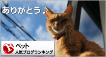 ペットランキング