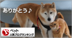 ペットランキング
