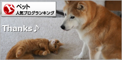 ペットランキング
