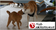 ペットランキング