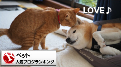 ペットランキング