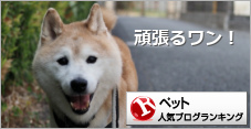 ペットランキング