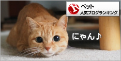 ペットランキング