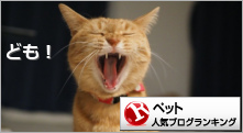 ペットランキング