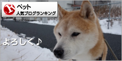 ペットランキング