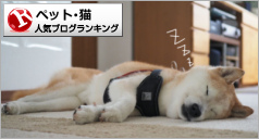 猫ランキング